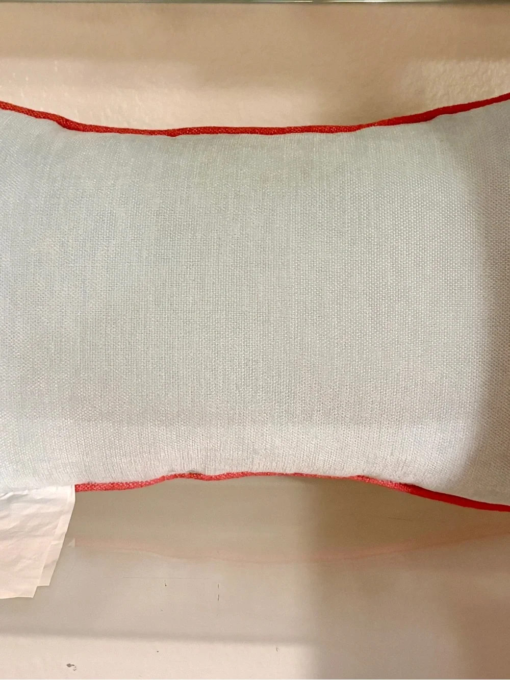 Needlepoint Coral and Light Blue 